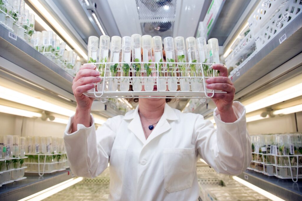 Soluciones de biocontrol 