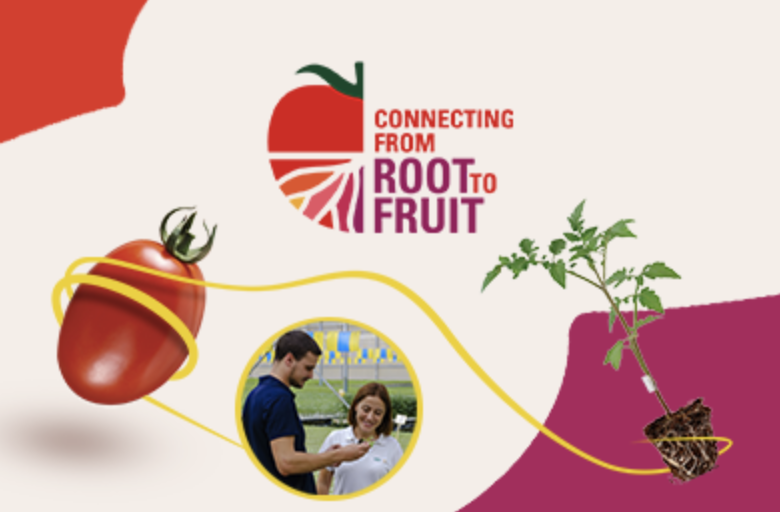 Conectando de la raiz al fruto