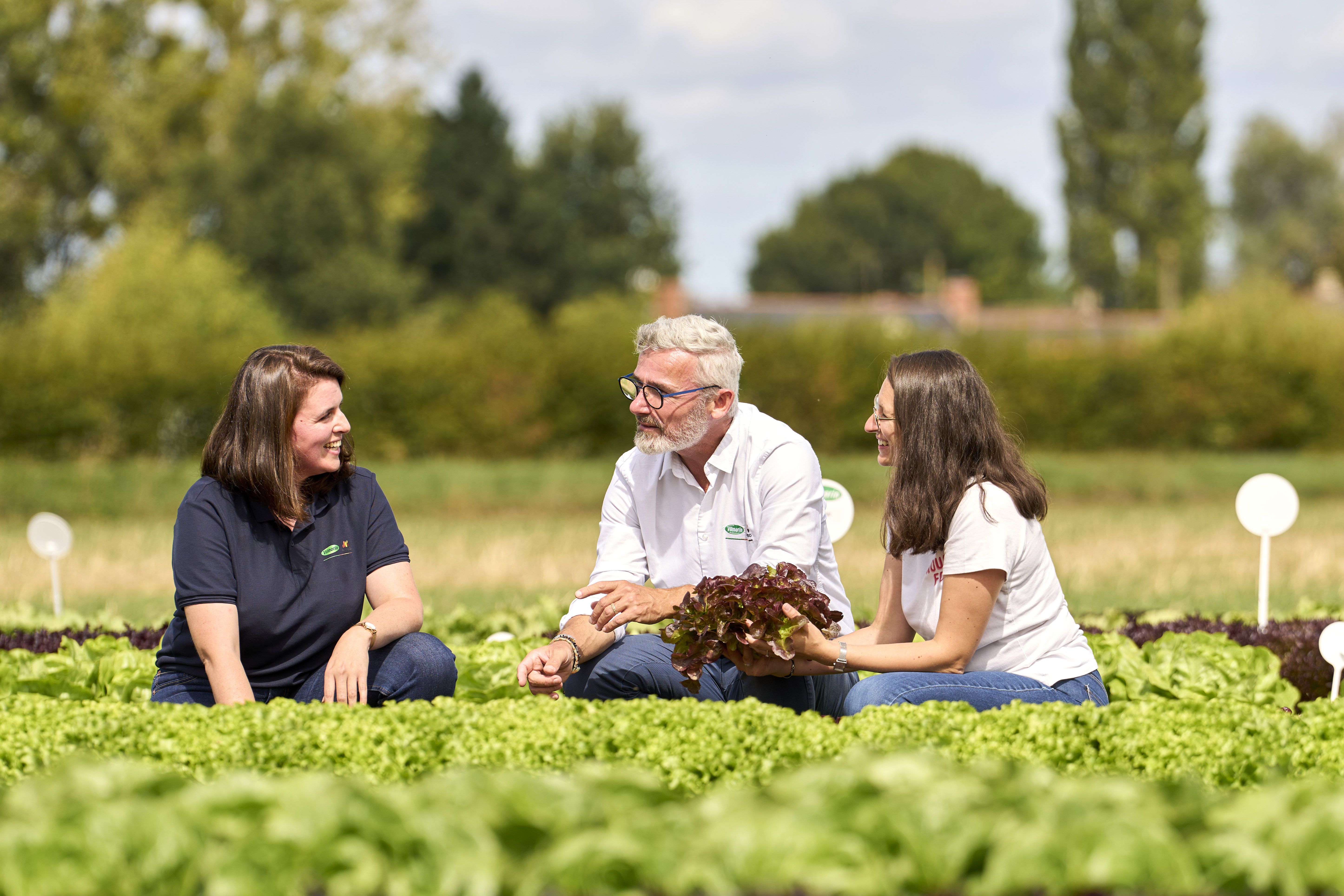 Soluciones innovadoras y sostenibles