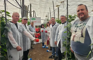 Ruta por los californias temprano