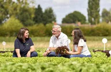 Soluciones innovadoras y sostenibles