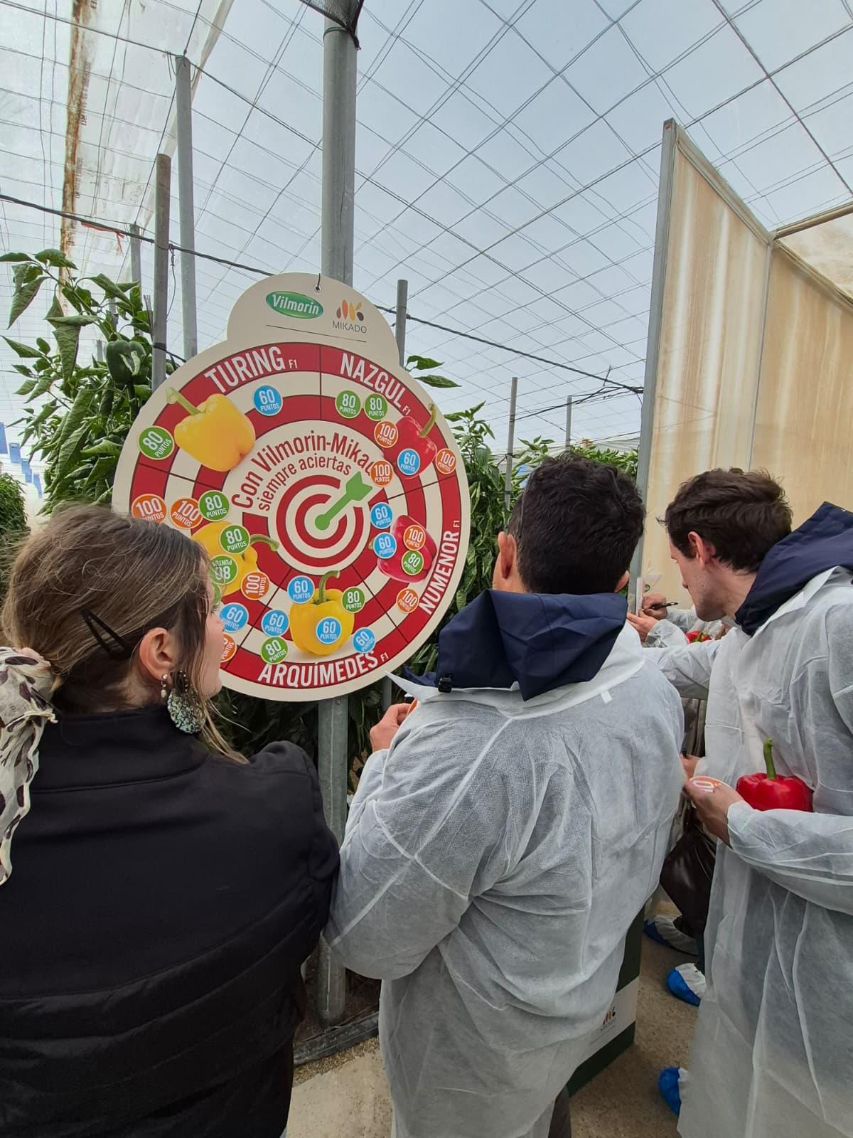 Jornadas pimiento california